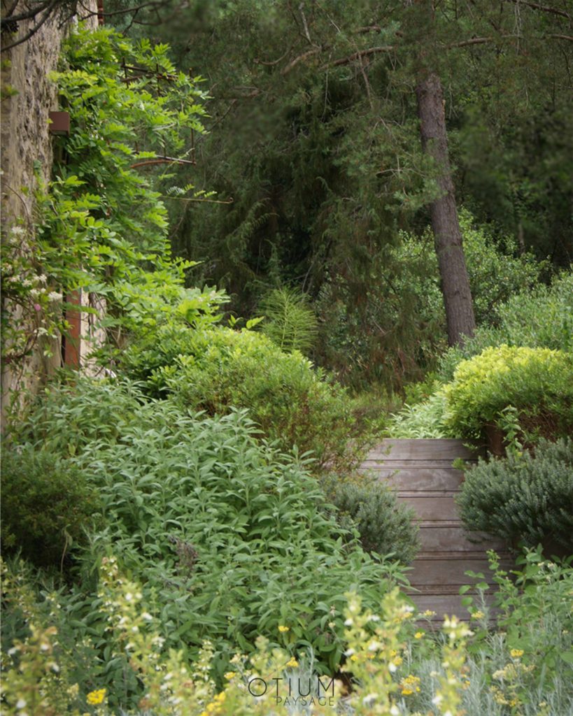 Aménagement d'un jardin paysager avec escaliers en bois et plantes méditerranéennes à Sarlat, conçu par Otium Paysage en Dordogne